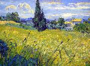 Vincent Van Gogh Landscape with Green Corn France oil painting artist
